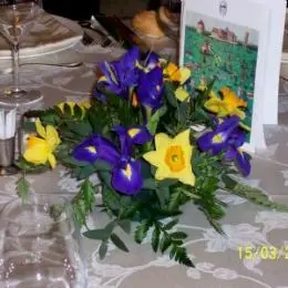 Quattordicesima Conviviale