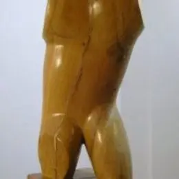 Villani Massimo